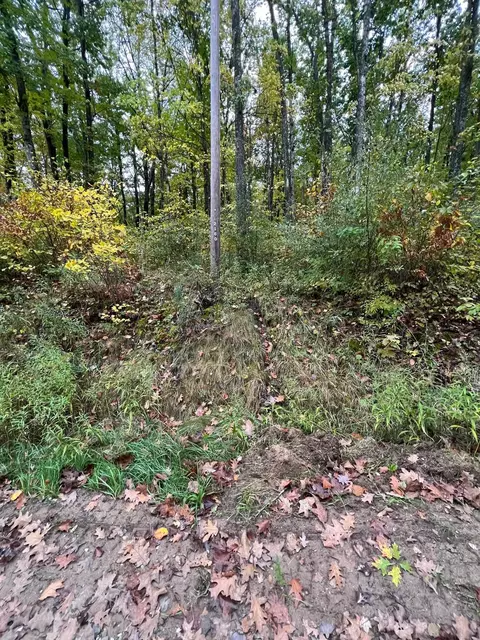 2160 E Gladwin Rd, Harrison, MI 48625 photo 2