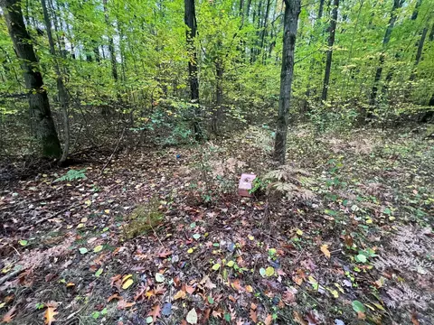 2160 E Gladwin Rd, Harrison, MI 48625 photo 12