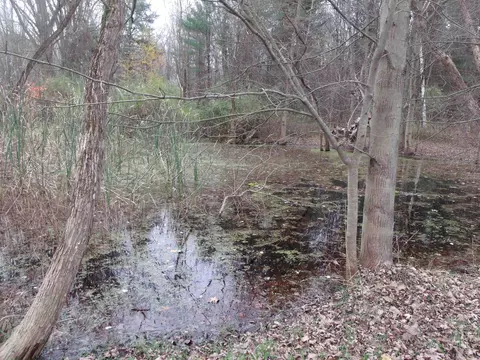 3677 Palms, Casco, MI 48064 photo 32