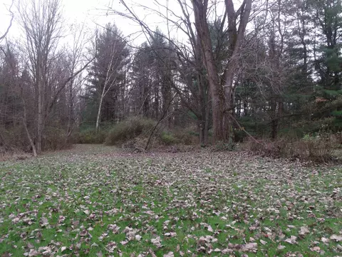 3677 Palms, Casco, MI 48064 photo 30
