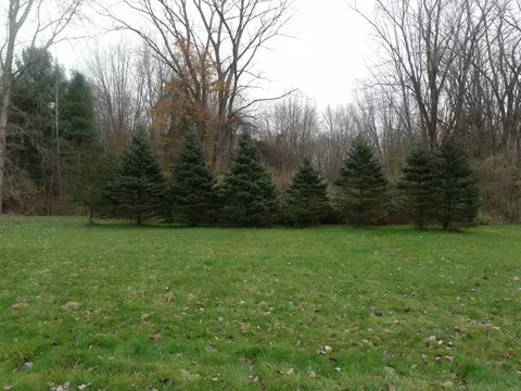3677 Palms, Casco, MI 48064 photo 36
