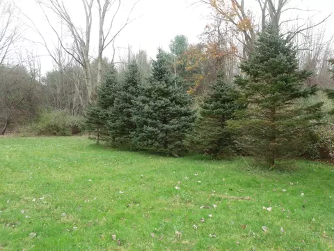 3677 Palms, Casco, MI 48064 photo 35