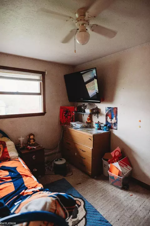 17033 Central, Romulus, MI 48174 photo 32