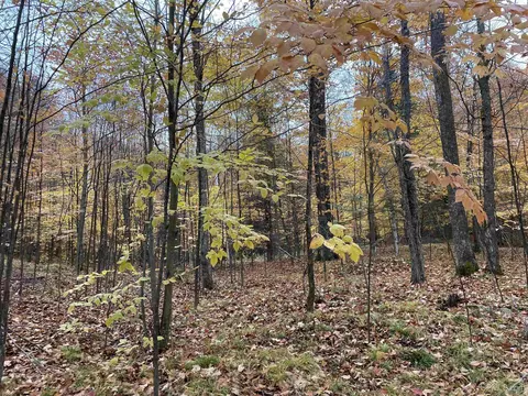 Tbd Old J, Athelstane T-wi, WI 54104