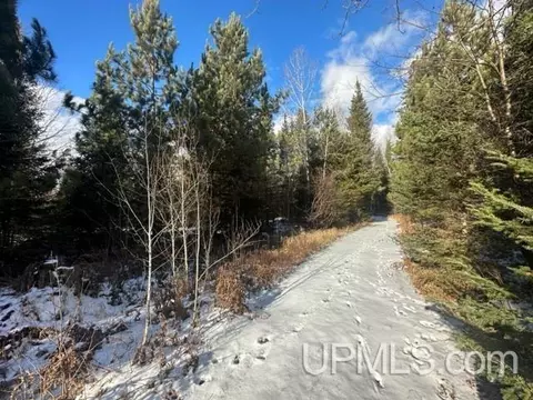4100 S Casey Lk, Ishpeming, MI 49849 photo 18
