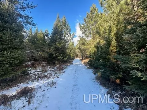 4100 S Casey Lk, Ishpeming, MI 49849 photo 17