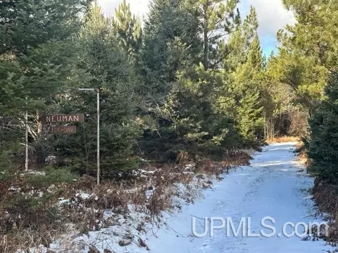 4100 S Casey Lk, Ishpeming, MI 49849 photo 3