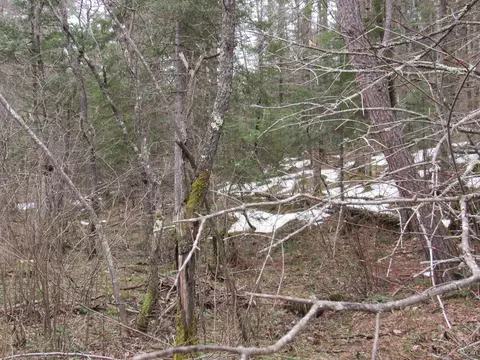 13213 County Ch, Ishpeming, MI 49849 photo 22