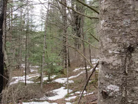 13213 County Ch, Ishpeming, MI 49849 photo 15