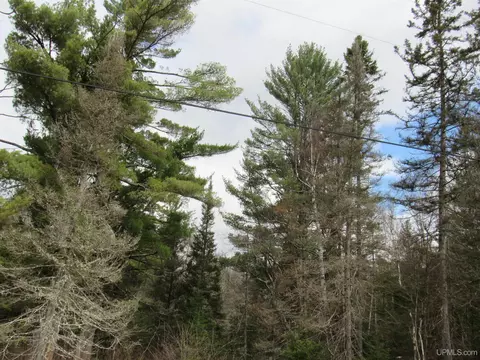 13213 County Ch, Ishpeming, MI 49849 photo 4