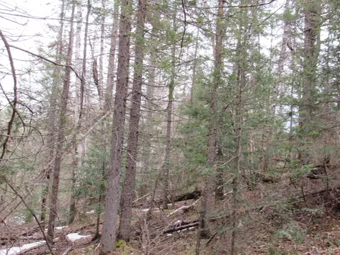 13213 County Ch, Ishpeming, MI 49849 photo 27