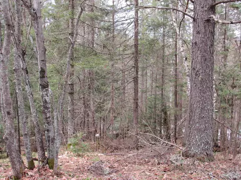13213 County Ch, Ishpeming, MI 49849 photo 28