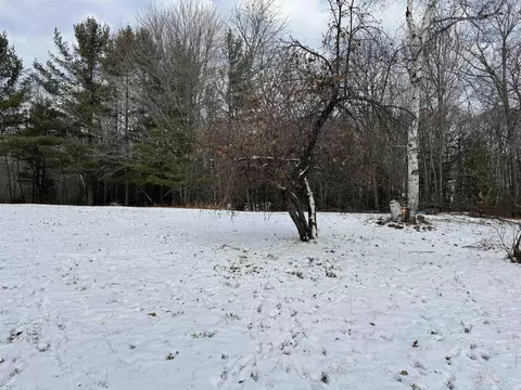 1320 Olmsted, Ishpeming, MI 49849 photo 39