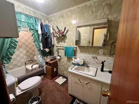 5 Baker, Caspian, MI 49915 photo 10