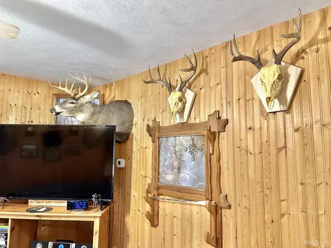 6180 G5, Escanaba, MI 49829 photo 7
