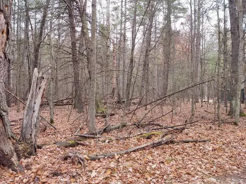 00 Pinewood #00, Roscommon, MI 48653