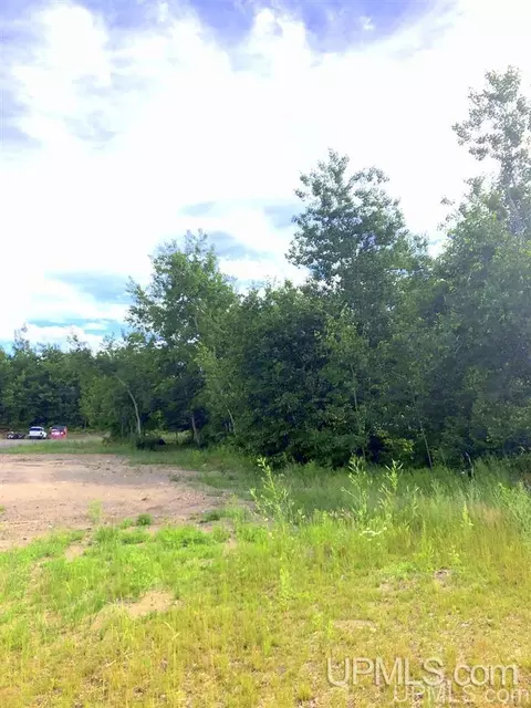 tbd E Us41m28, Negaunee, MI 49866 photo 2