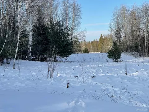 Tbd County Road 456, Seney, MI 49883