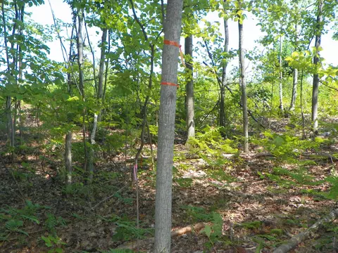 tbd Hawthorn, Harrison, MI 48625 photo 5