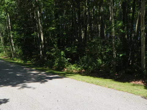 tbd Hawthorn, Harrison, MI 48625 photo 8