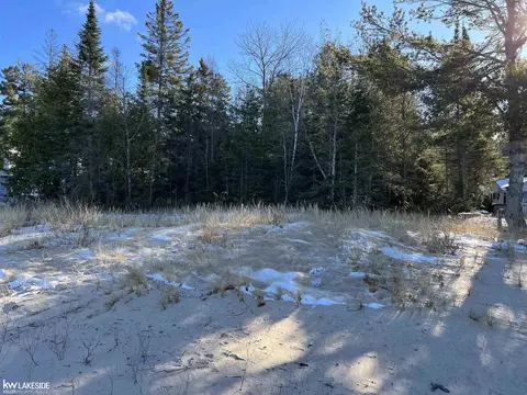 12120 Ray, Ocqueoc, MI 49759 photo 4