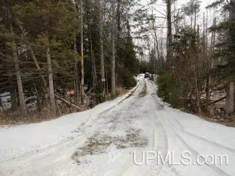 n2386 Michigan 67, Trenary, MI 49891