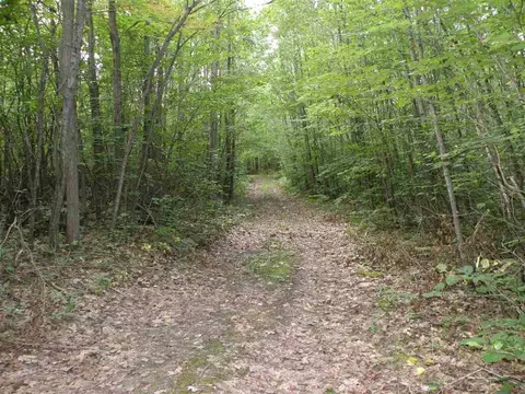 W North County Line, Farwell, MI 48622