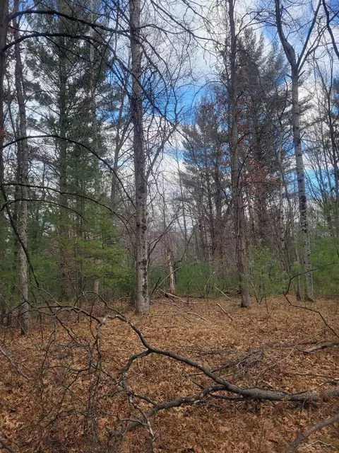 Jackpine Trial, Alger, MI 48610 photo 5