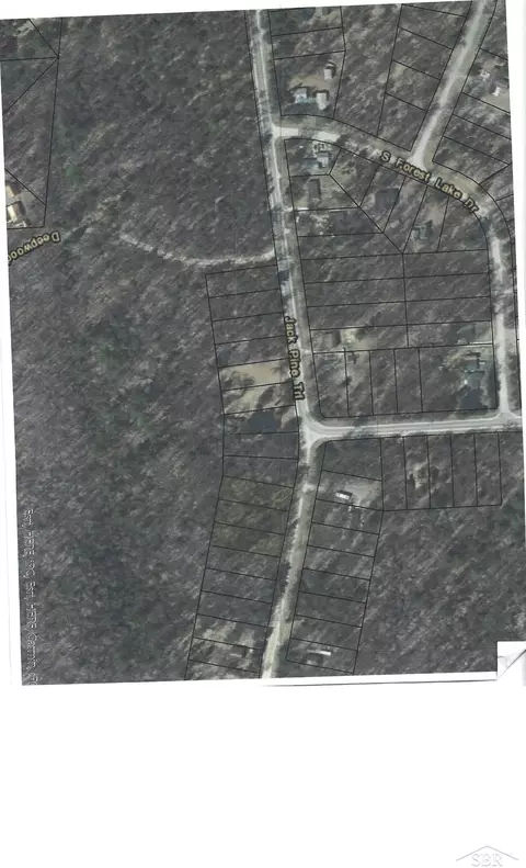Jackpine Trial, Alger, MI 48610 photo 11