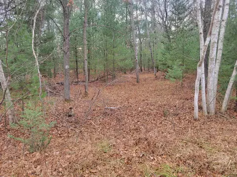 Jackpine Trial, Alger, MI 48610 photo 7