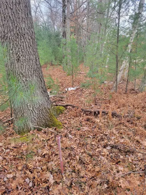 Jackpine Trial, Alger, MI 48610 photo 3