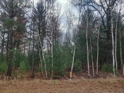 Jackpine Trial, Alger, MI 48610