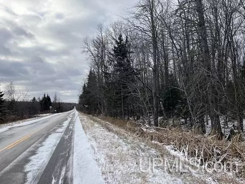 14 S Acres S Co Rd 545, Skandia, MI 49885