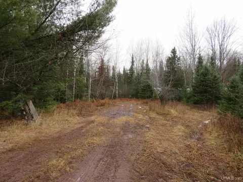 tbd Off Firesteel, Ontonagon, MI 49953