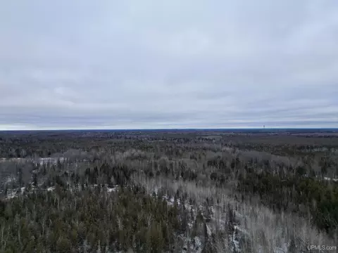 4813 Beaver, Rock, MI 49880 photo 52