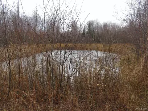 35589 Hibbeln #SHARED DRIVEWAY, Ontonagon, MI 49953