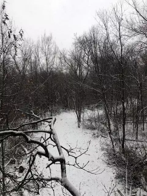 9085 Birch Run, Millington, MI 48746