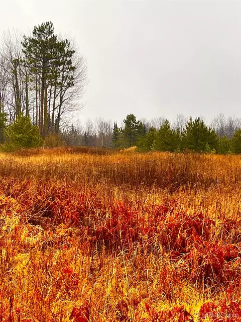 Tbd Us41, Rapid River, MI 49878 photo 11