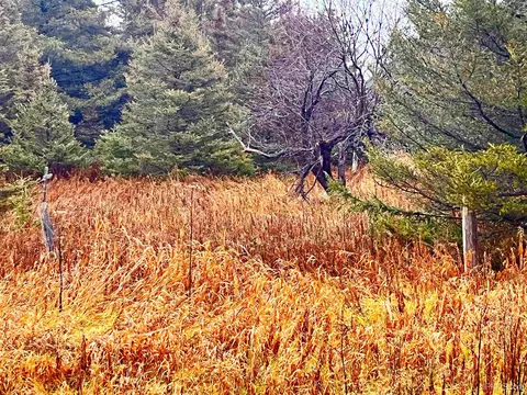 Tbd Us41, Rapid River, MI 49878 photo 9