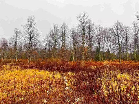 Tbd Us41, Rapid River, MI 49878 photo 8