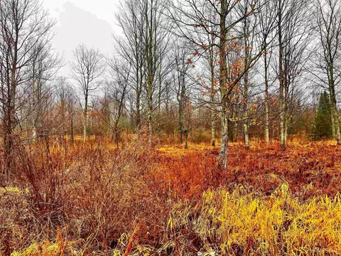 Tbd Us41, Rapid River, MI 49878 photo 6