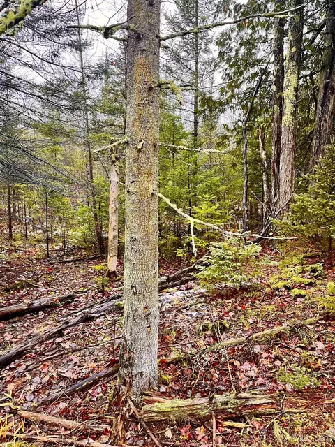 Tbd Us41, Rapid River, MI 49878 photo 2