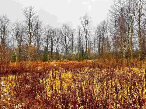 Tbd Us41, Rapid River, MI 49878 photo 7