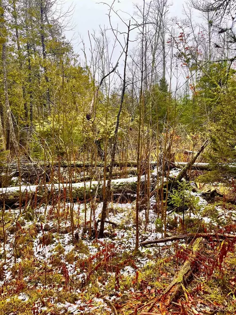 Tbd Us41, Rapid River, MI 49878 photo 4