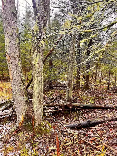 Tbd Us41, Rapid River, MI 49878 photo 3