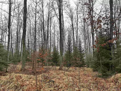Tbd Herzog, Sagola, MI 49801
