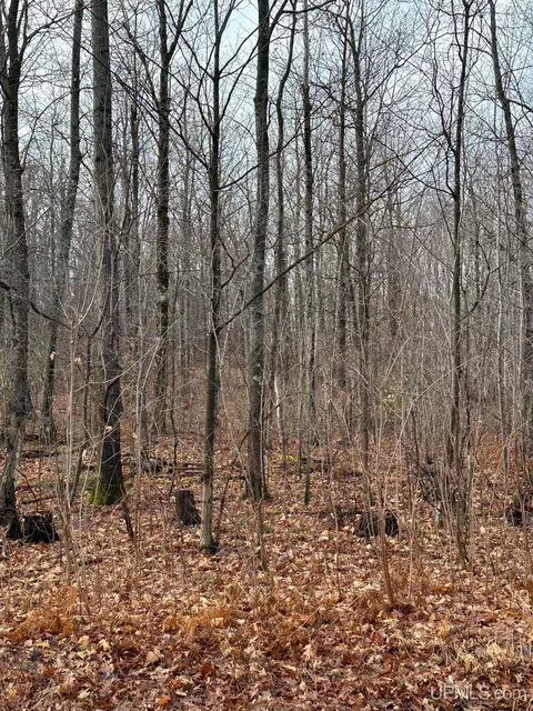 Tbd Peter White, Deerton, MI 49822 photo 3