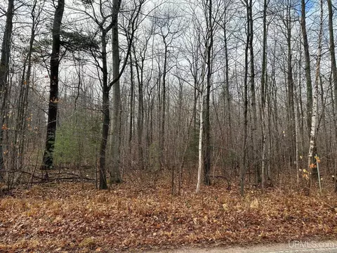 Tbd Peter White, Deerton, MI 49822 photo 2