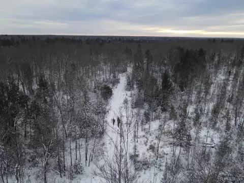 80 Acr Frd, Covington, MI 49919