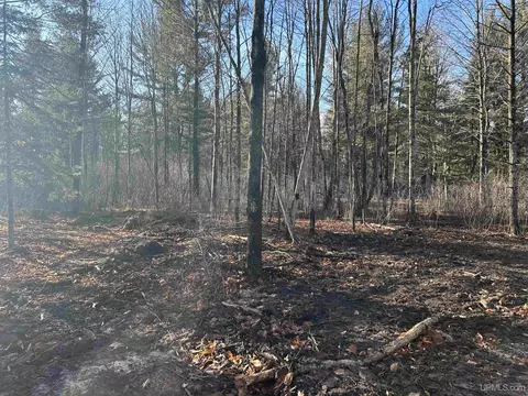 Tbd Old State South Lot C-d, Escanaba, MI 49829